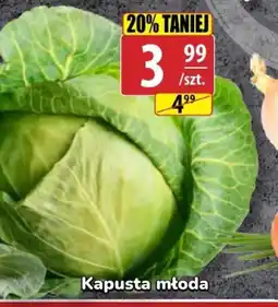 Kapusta młoda