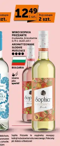 Groszek Wino słodkie Sophia oferta
