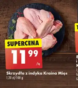 Biedronka Skrzydło z indyka Kraina Mięs oferta