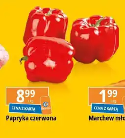 E.Leclerc Papryka czerwona 1 kg oferta
