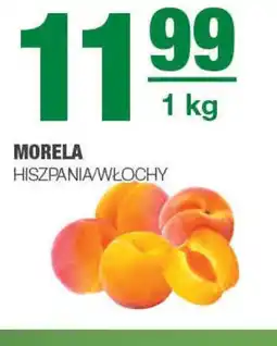 Morela 1kg