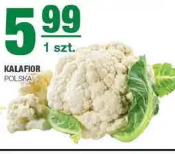 Kalafior Polska