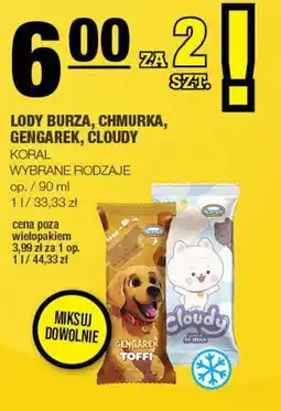 EuroSPAR Lody Burza, Chmurka, G RODZAJEgarek, Cloudy Koral oferta