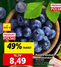 Lidl Polskie borówki amerykańskie 400 g oferta