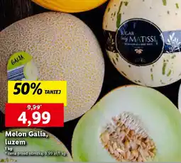 Lidl Melon Galia, luzem 1 kg oferta