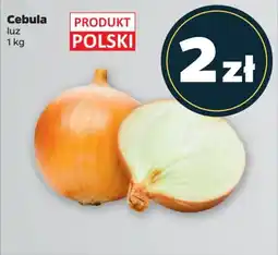 Netto Cebula 1 kg oferta