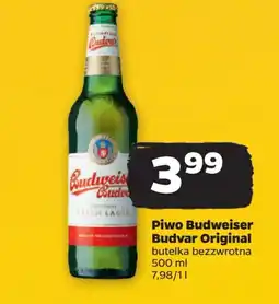 Netto Piwo Budweiser Budvar Original 500 ml oferta