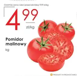Pomidory