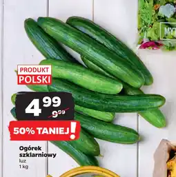 Netto Ogórek szklarniowy oferta
