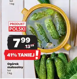 Netto Ogórek małosolny oferta