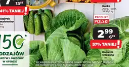 Netto Kapusta wczesna oferta