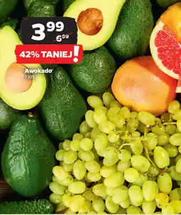 Netto Awokado oferta