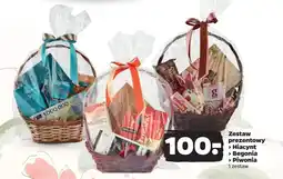 Netto Zestaw prezentowy / Hiacynt / Begonia / Piwonia oferta