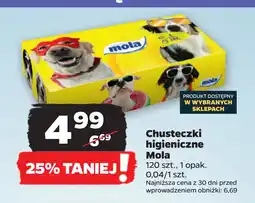 Netto Chusteczki higieniczne Mola oferta