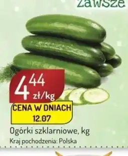 Avita Ogórki oferta
