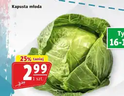 Prim Market Kapusta młoda oferta