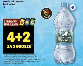 Delikatesy Centrum Woda mineralna Rodowita 1 l oferta