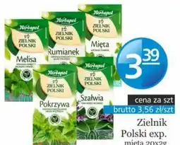 Specjał Herbapol Zielnik Polski exp. oferta