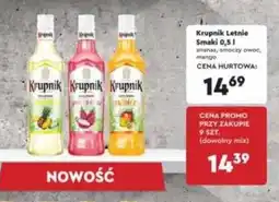 Krupnik Letnie Smaki 0,5l