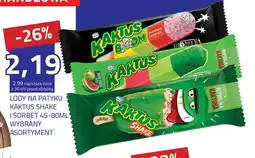 Hildebrandt LODY NA PATYKU KAKTUS SHAKE I SORBET 45-80 ML oferta
