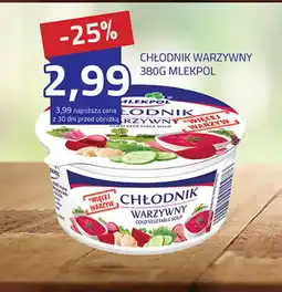 Hildebrandt CHŁODNIK WARZYWNY 380 G MLEKPOL oferta