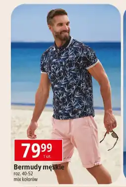E.Leclerc Bermudy męskie oferta