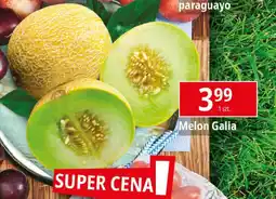 E.Leclerc Melon Galia oferta