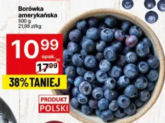 Delikatesy Centrum Borówka amerykańska 500 g oferta