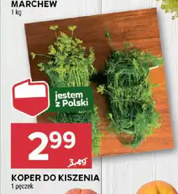 KOPER DO KISZENIA 1 pęczek