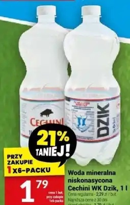 Twój Market Cecchini WK Dzik, 1l oferta