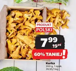 Kurki leśne