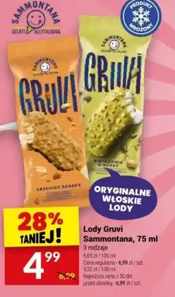 Twój Market Lody Gruvi Sammontana 75 ml oferta