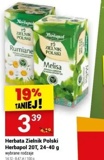 Twój Market Herbata Zielnik Polski Herbapol 20T oferta