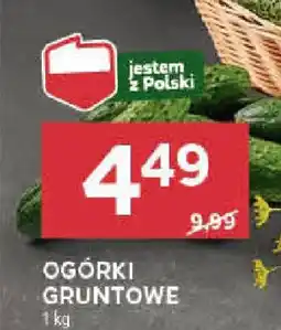 Stokrotka OGÓRKI GRUNTOWE 1 kg oferta