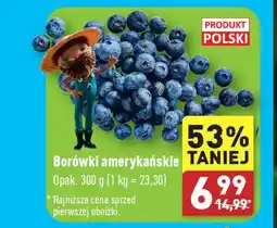 ALDI Borówki amerykańskie 300 g oferta