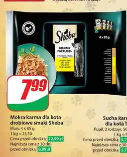 Dino Mokra karma dla kota Sheba oferta