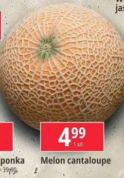 E.Leclerc Melon cantaloupe oferta