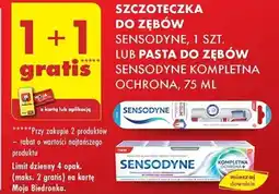 Biedronka SZCZOTECZKA DO ZĘBÓW LUB PASTA DO ZĘBÓW SENSODYNE oferta