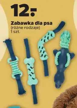 Netto Zabawka dla psa oferta