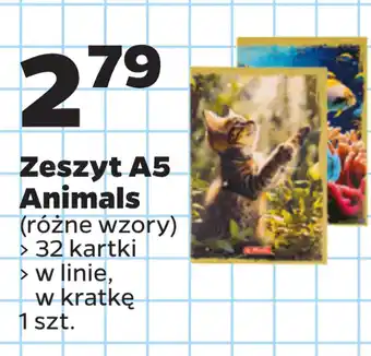 Netto Zeszyt A5 Animals oferta
