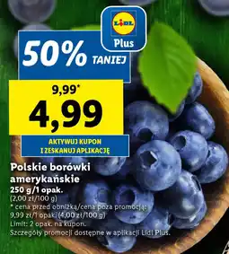 Lidl Polskie borówki amerykańskie 250 g oferta