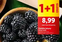 Lidl Polskie jeżyny 125 g oferta