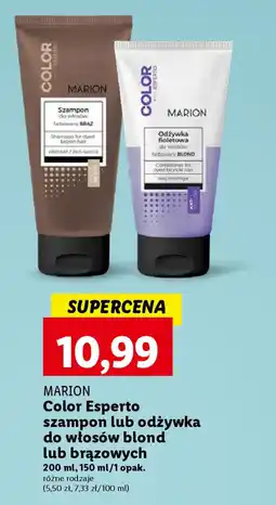 Lidl MARION Color Esperto szampon lub odżywka do włosów blond lub brązowych 150-200 ml oferta