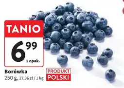Intermarche Borówka 250 g oferta