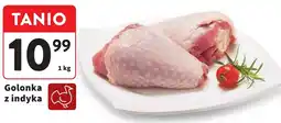 Intermarche Golonka z indyka 1 kg oferta