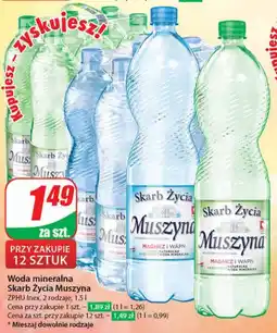 Dino Woda mineralna Skarb Życia Muszyna 1,5 l oferta