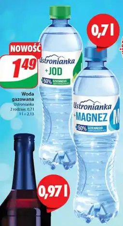 Dino Woda gazowana Ustronianka 0,7 l oferta
