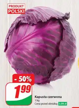 Dino Kapusta czerwona 1 kg oferta