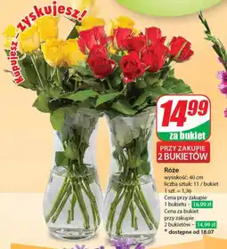 Dino Róże 11 szt. oferta