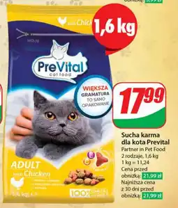 Dino Sucha karma dla kota Prevital 1,6 kg oferta